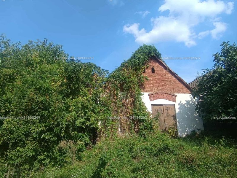 Ingatlan kép