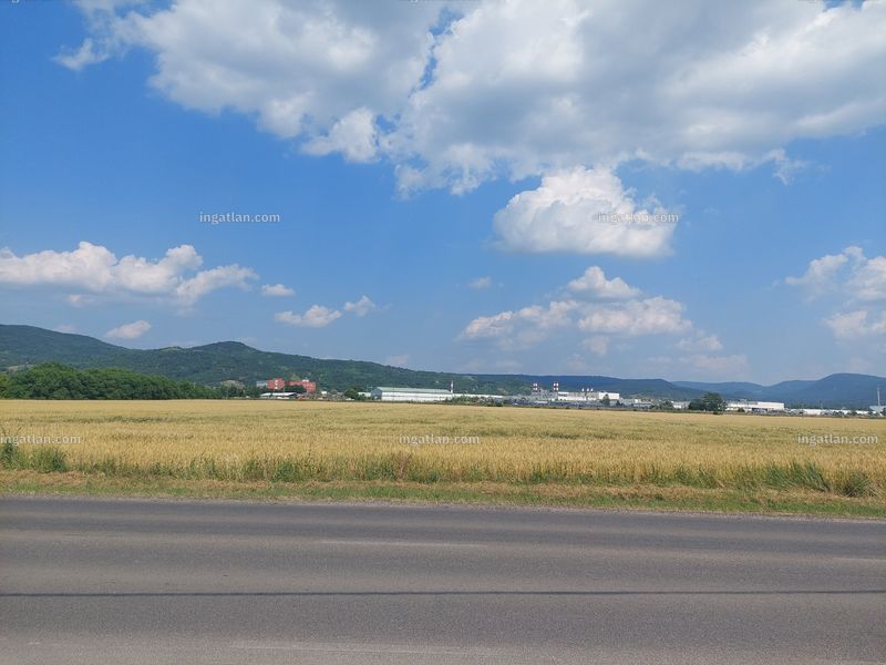 Ingatlan kép