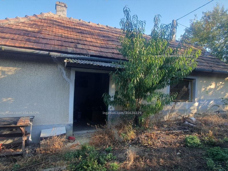 Ingatlan kép