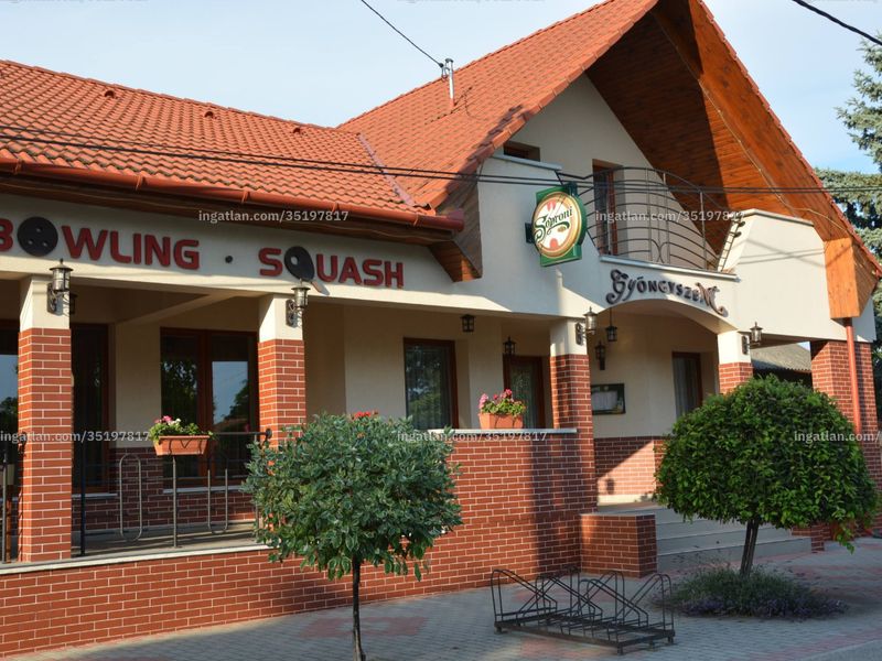 Ingatlan kép