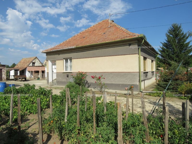 Ingatlan kép