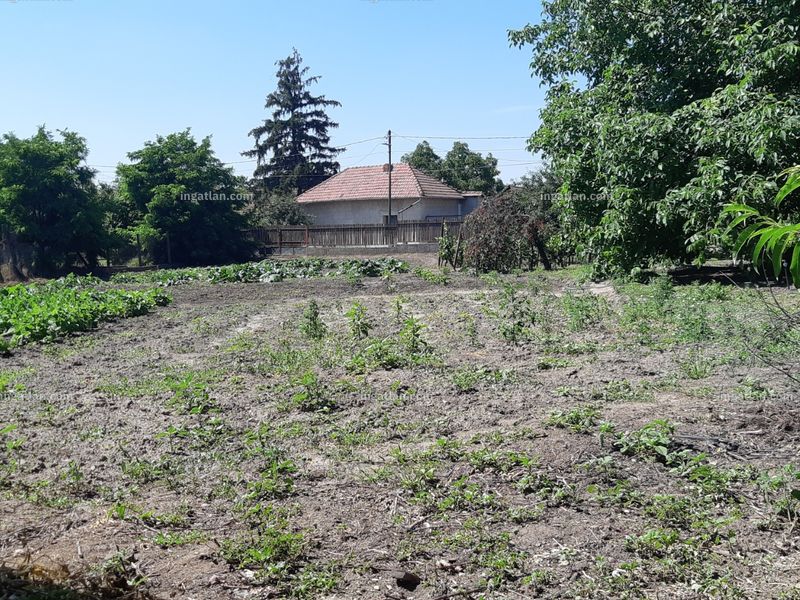 Ingatlan kép