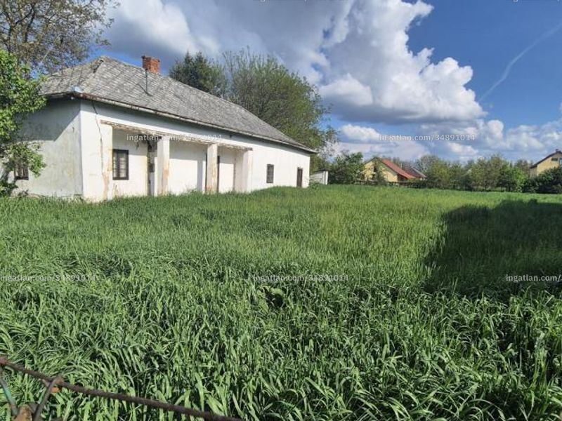 Ingatlan kép