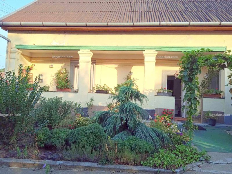 Ingatlan kép