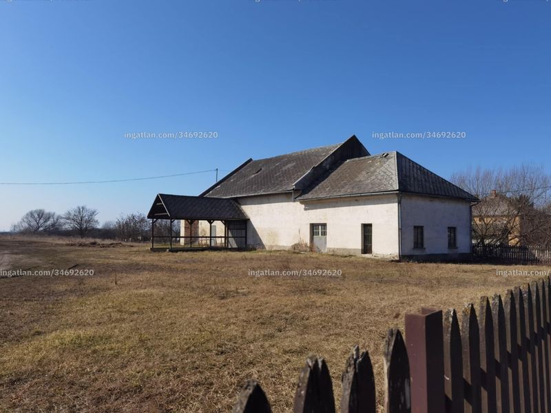 Ingatlan kép