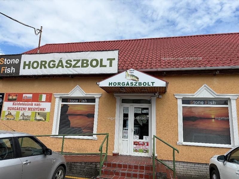 Ingatlan kép