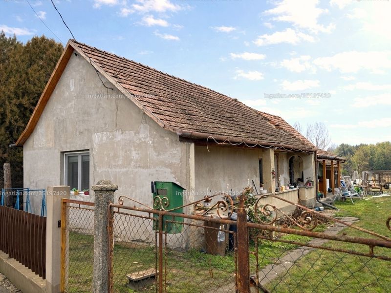 Ingatlan kép