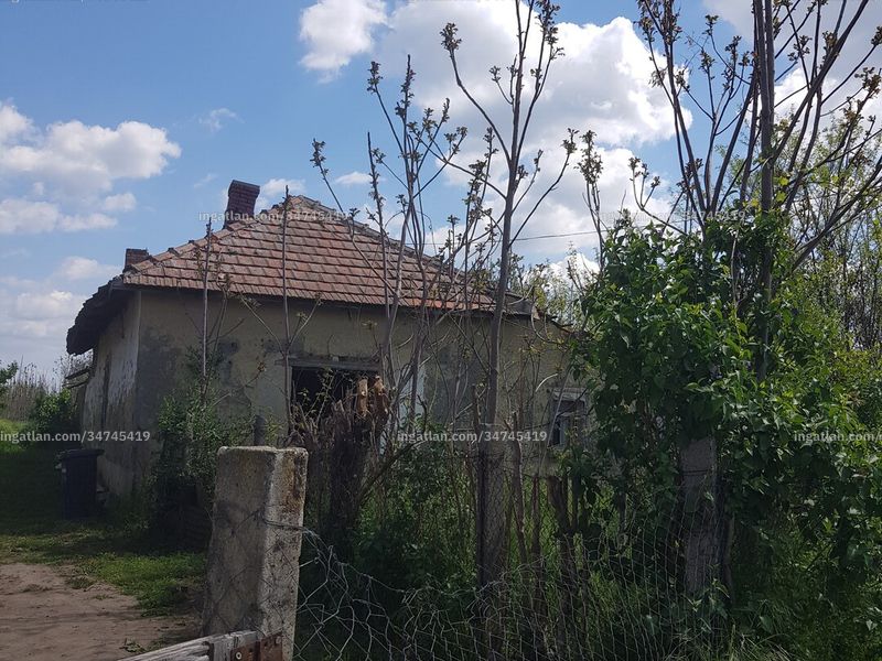 Ingatlan kép