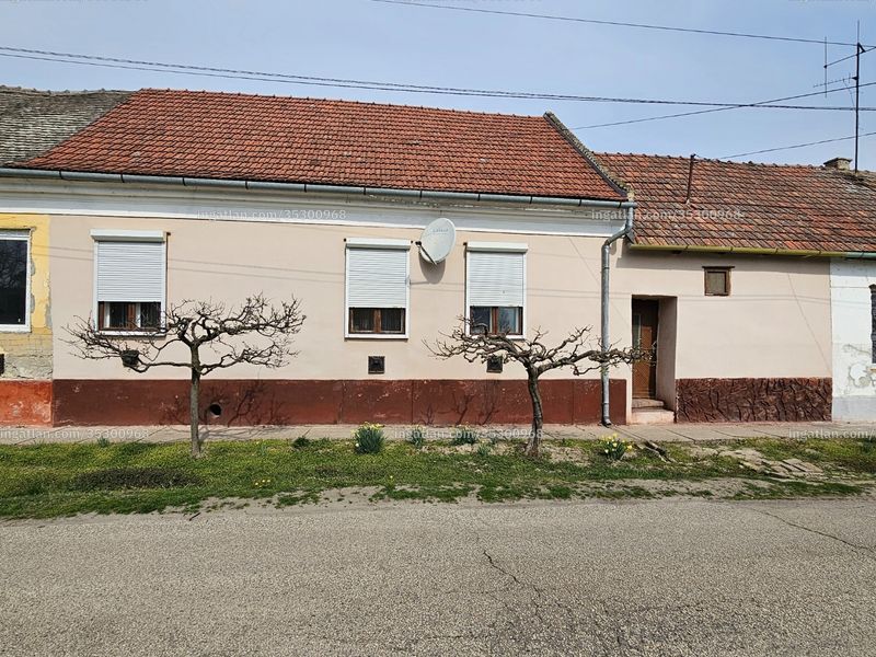 Ingatlan kép