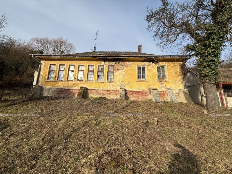 Ingatlan kép