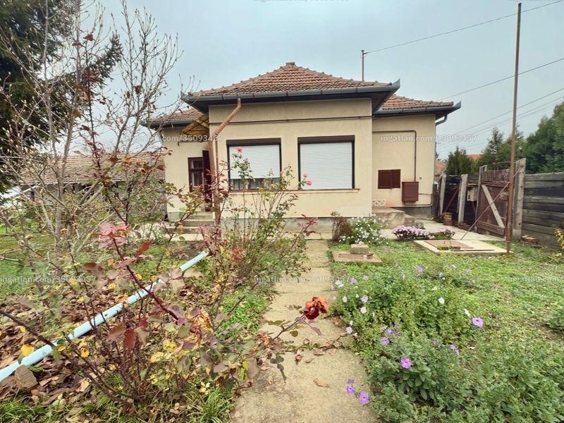 Ingatlan kép