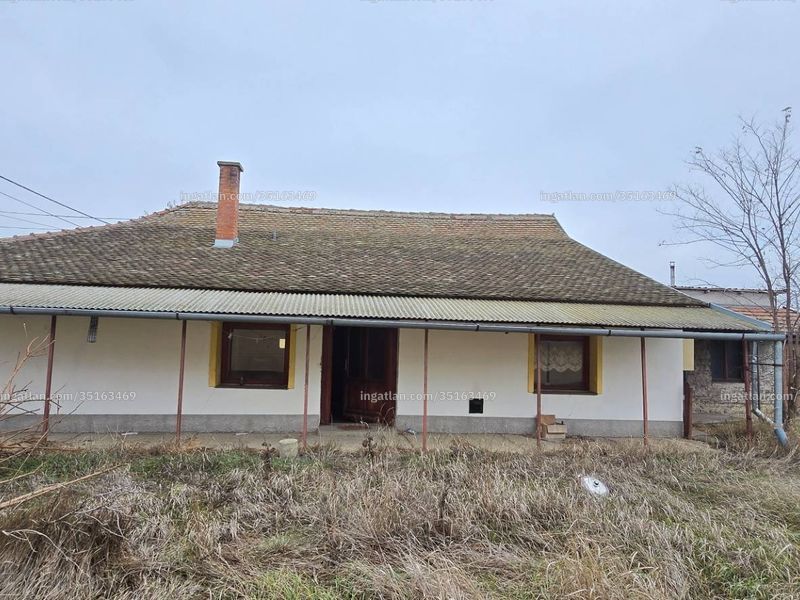 Ingatlan kép