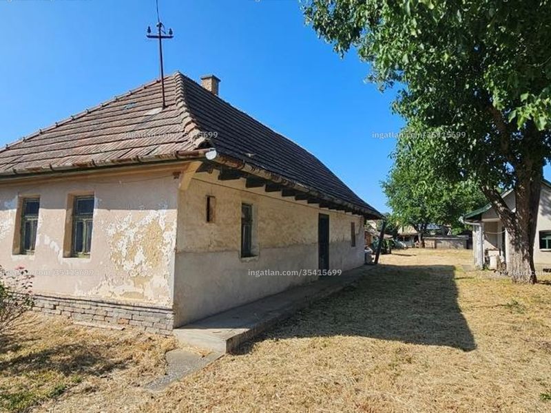 Ingatlan kép