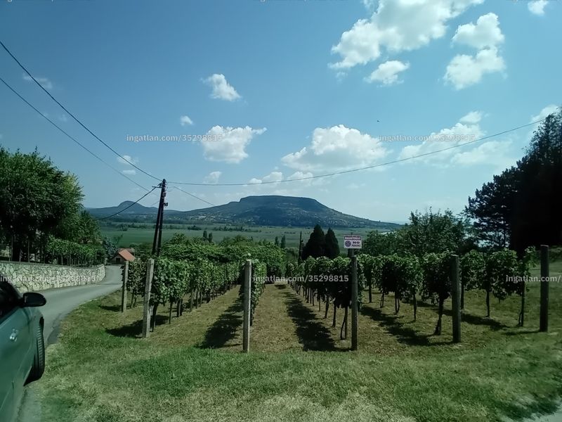 Ingatlan kép
