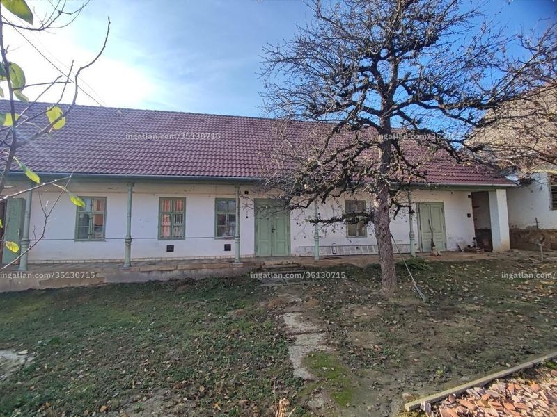 Ingatlan kép