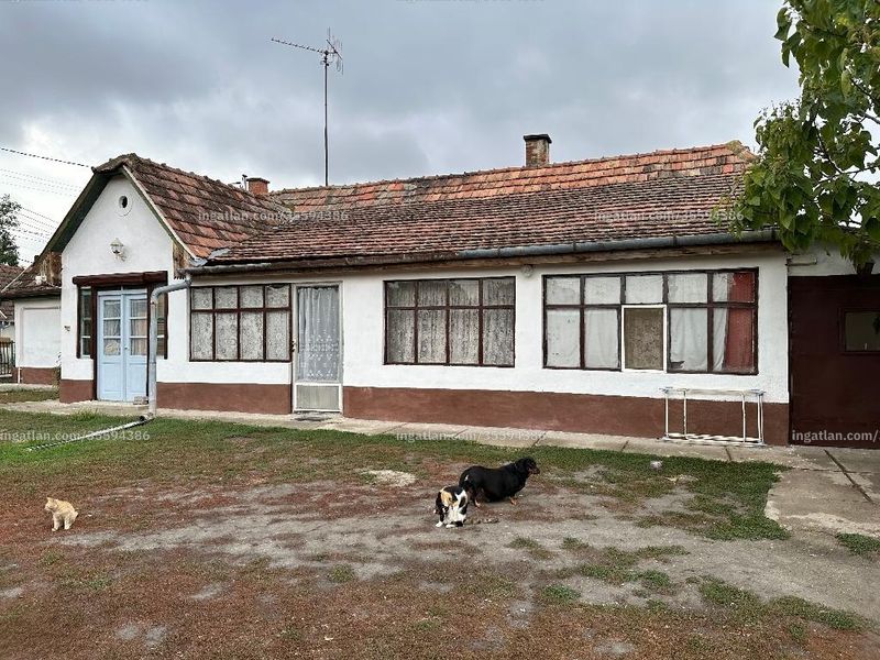 Ingatlan kép