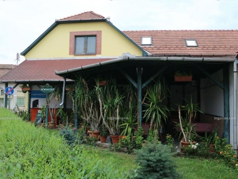 Ingatlan kép