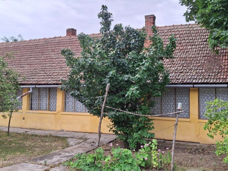 Ingatlan kép