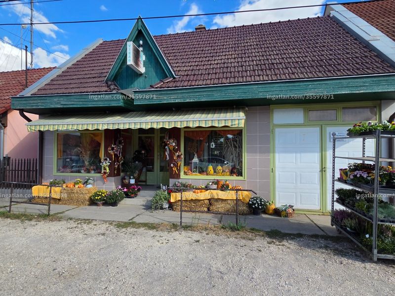 Ingatlan kép
