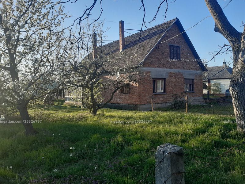Ingatlan kép