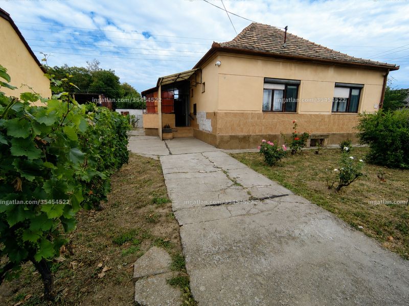 Ingatlan kép