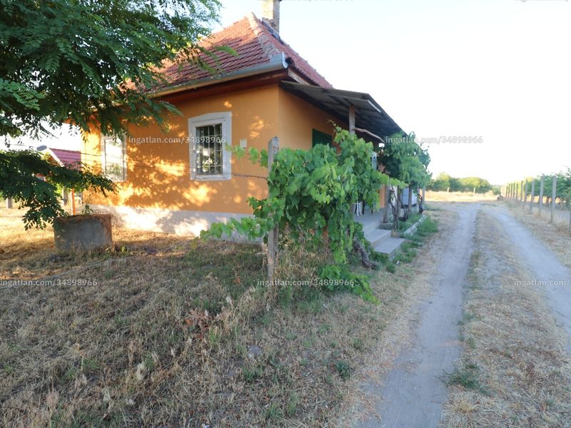 Ingatlan kép