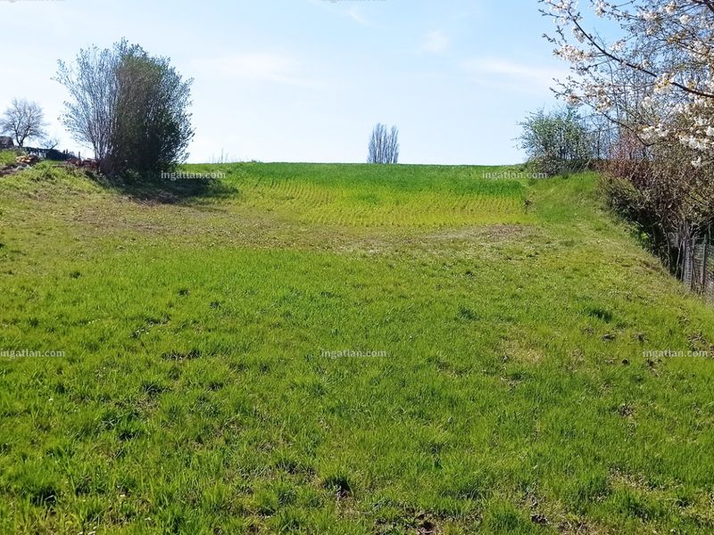 Ingatlan kép