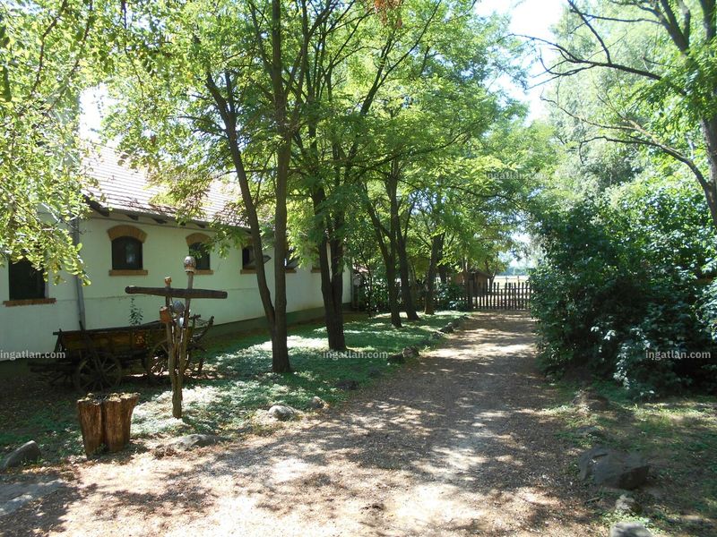 Ingatlan kép