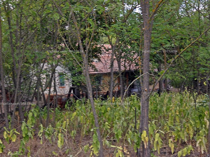 Ingatlan kép