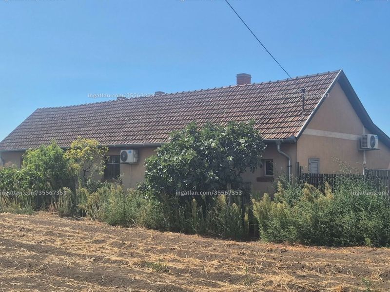 Ingatlan kép