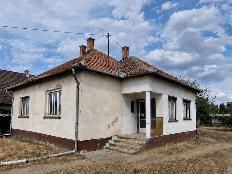 Ingatlan kép