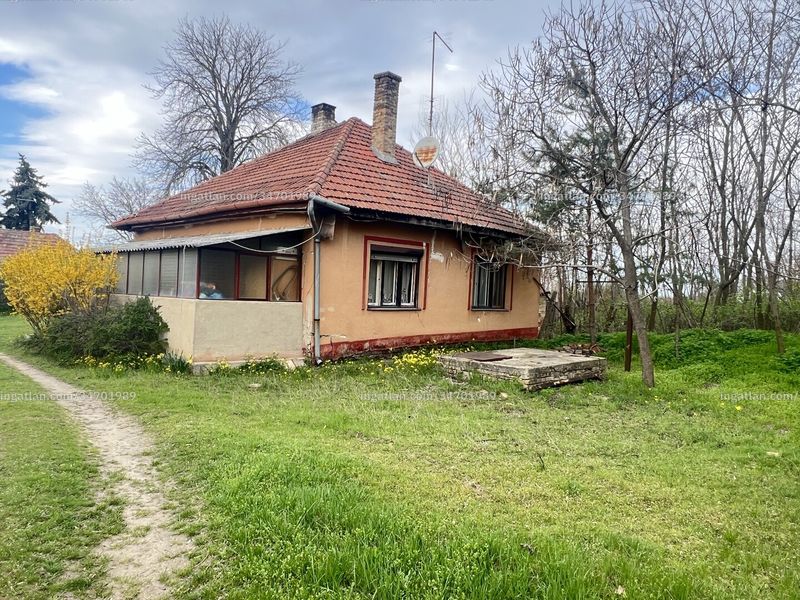Ingatlan kép