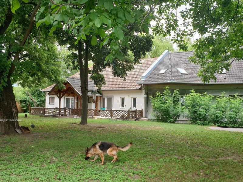 Ingatlan kép