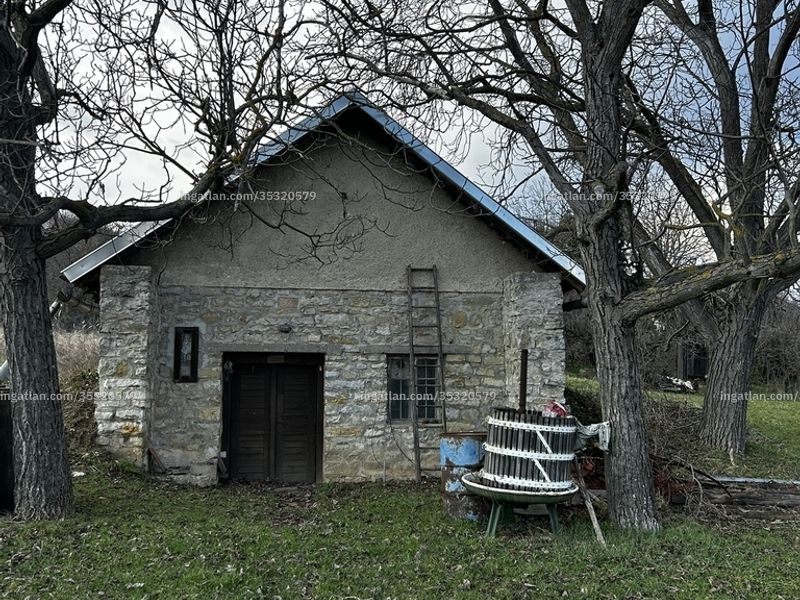 Ingatlan kép