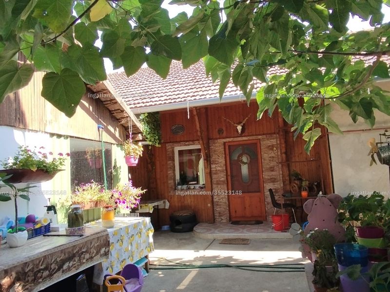 Ingatlan kép