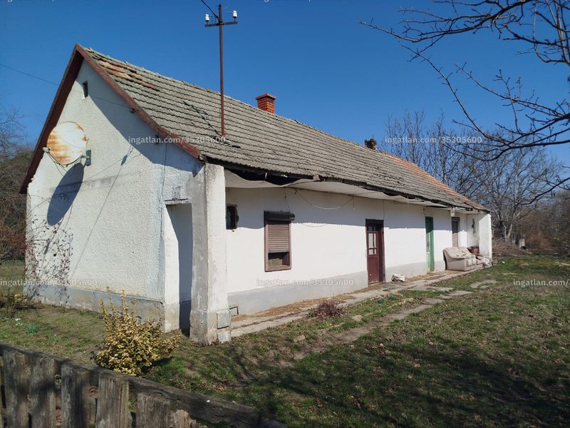 Ingatlan kép
