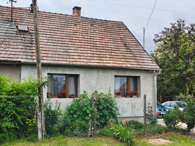 Ingatlan kép