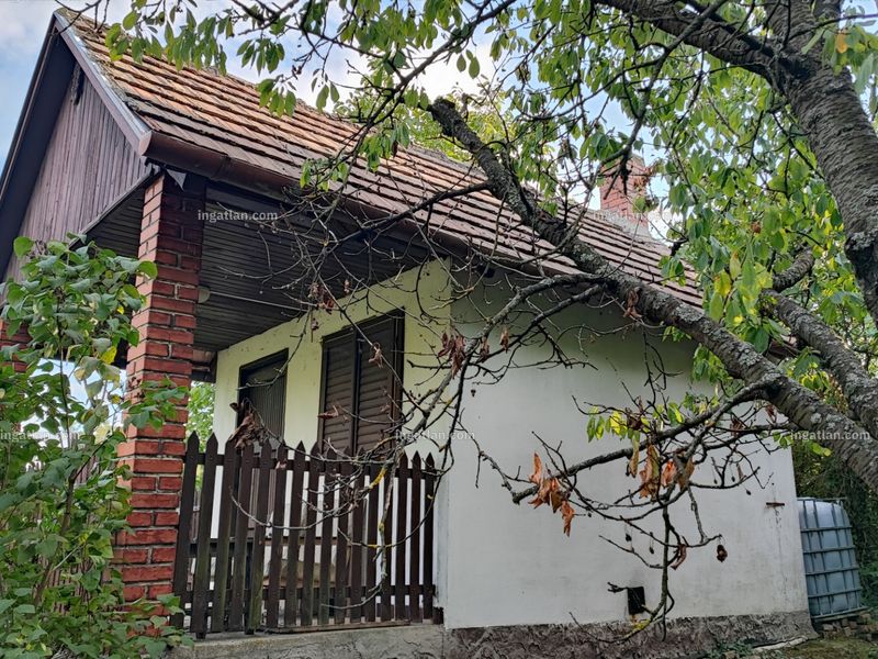 Ingatlan kép