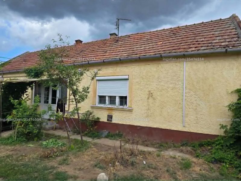 Ingatlan kép