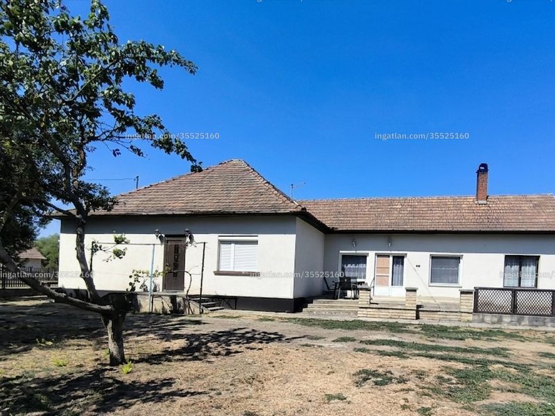 Ingatlan kép