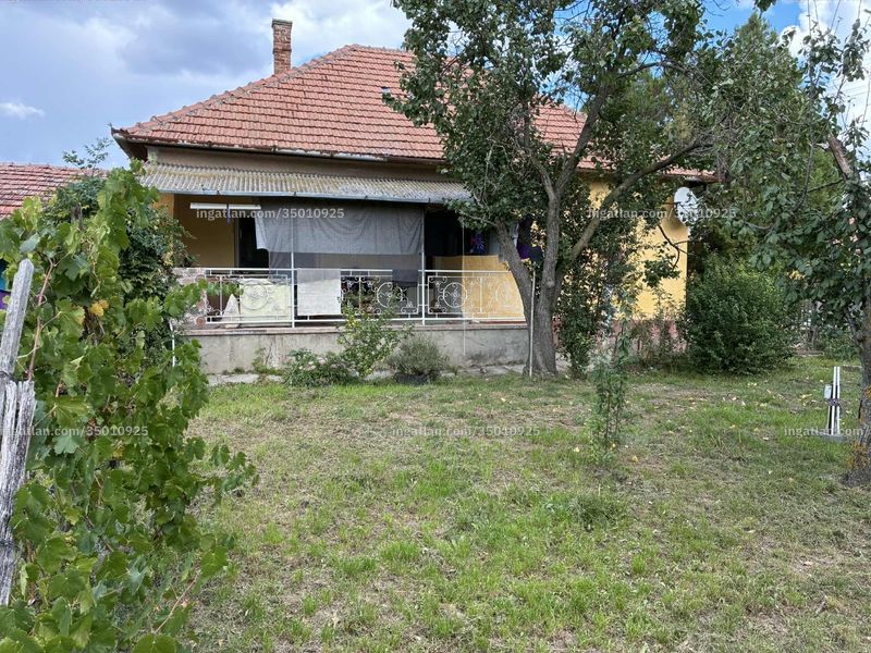 Ingatlan kép