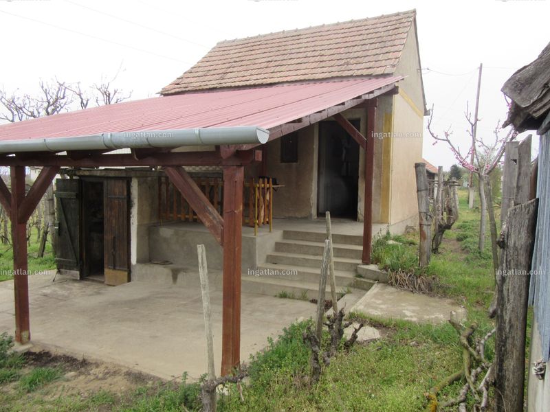 Ingatlan kép