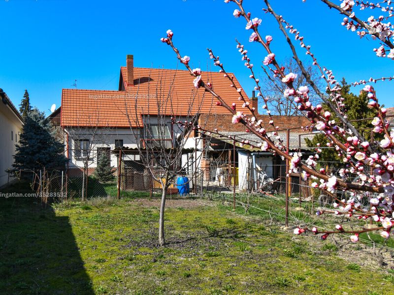 Ingatlan kép
