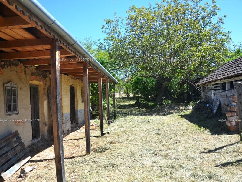 Ingatlan kép
