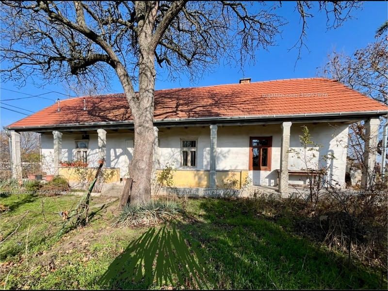 Ingatlan kép