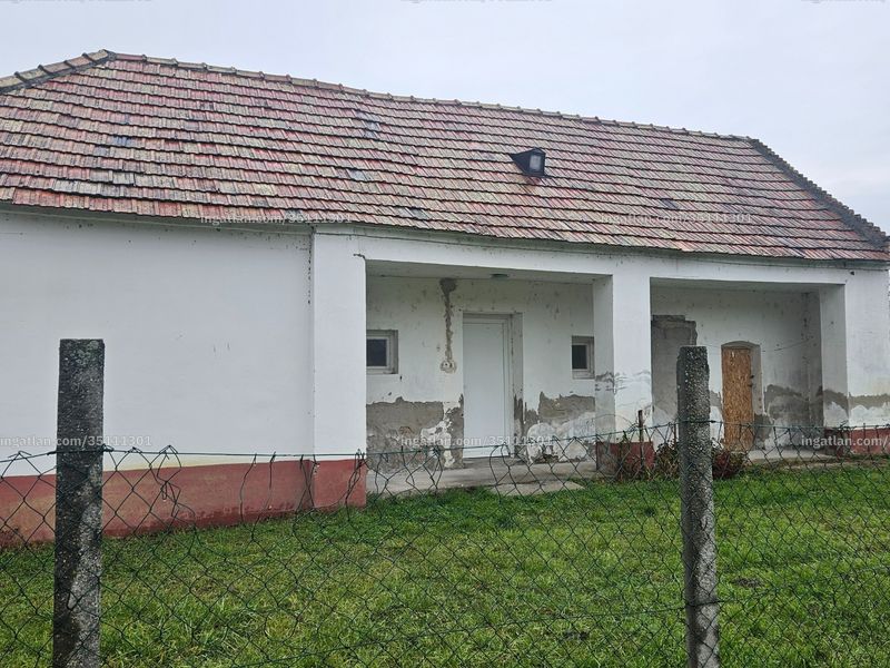 Ingatlan kép