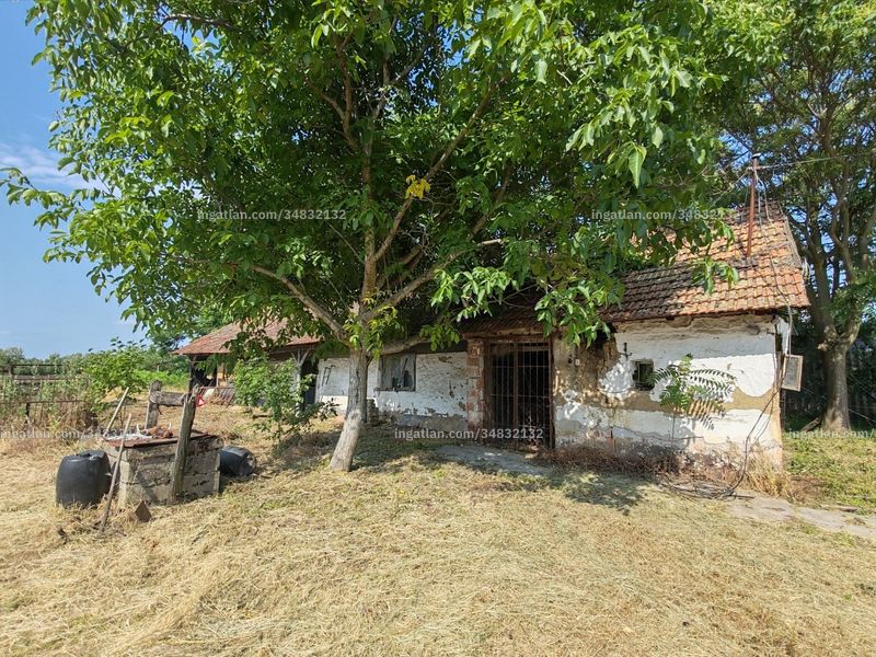 Ingatlan kép