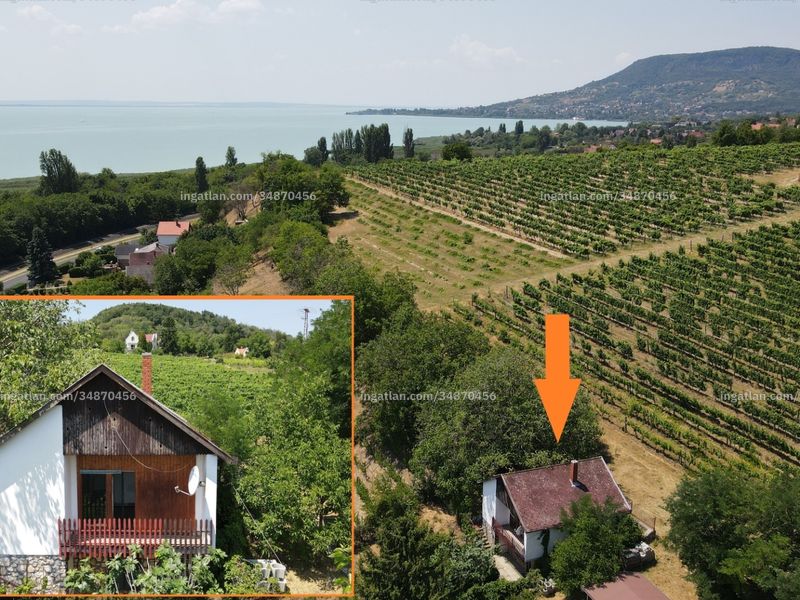 Ingatlan kép