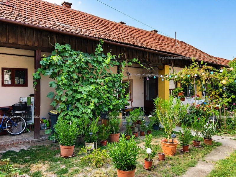 Ingatlan kép