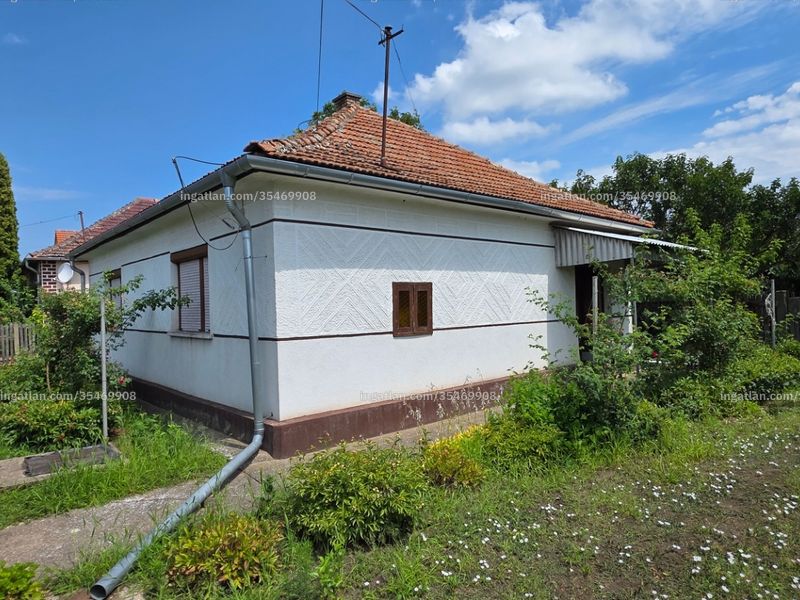 Ingatlan kép
